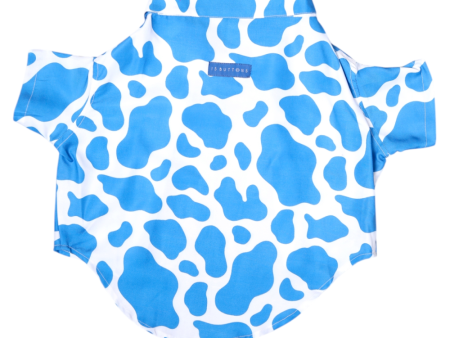 15buttons Blue Moo Shirt for Dogs Hot on Sale