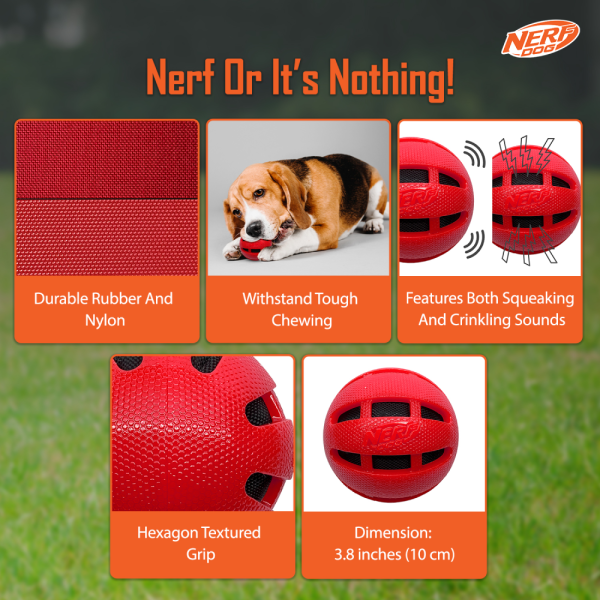 Nerf Bash Checker Squeak Crunch Ball Toy for Dogs (Red) Sale