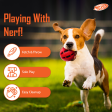 Nerf Bash Checker Squeak Crunch Ball Toy for Dogs (Red) Sale