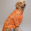 15buttons Orange Snoopy Shirt for Dogs Supply