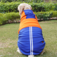 Pawgypets Stripe Hoodie Sweatshirt for Dogs and Cats (Orange Blue) Supply