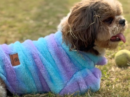 Pawgypets Fur Sweater for Dogs and Cats (Blue Purple) Online