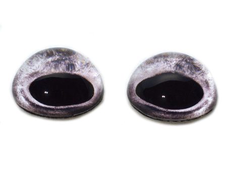 High Domed Natural Silver Fish Glass Eyes For Cheap