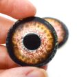 Loch Ness Monster Glass Eyes Online Hot Sale