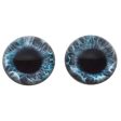 High Domed Mint Blue Mermaid Glass Eyes Supply