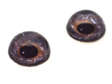 High Domed Milky Way Galaxy Glass Eyes Sale