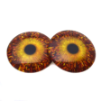 Autumn Inspired Glass Eyes Bundle - 5 Pairs Online Sale