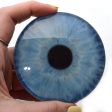 Large 78mm Natural Blue Human Glass Eyes Online Sale