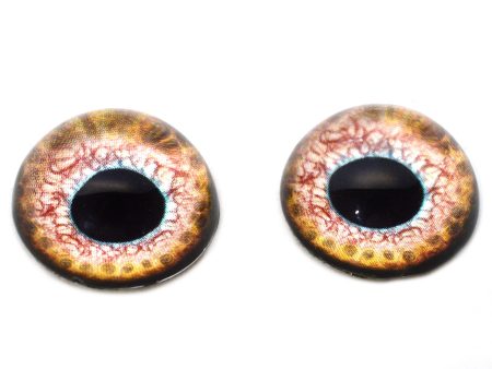 High Domed Loch Ness Monster Glass Eyes Online Sale