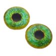 5 Pairs Viking Inspired Glass Eye Discounted Bundle Set of 10 Eyes - Bulk Wholesale - Taxidermy Art Sculptures or Jewelry Making Supply For Discount