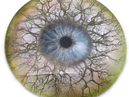 Large 78mm Fantasy Tree Branches Glass Eyes For Discount