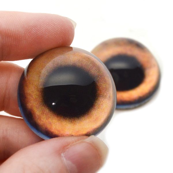 High Domed Light Brown Dog Glass Eyes For Discount