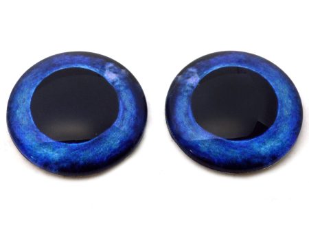 Swordfish Fish Glass Eyes Hot on Sale