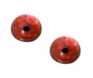 High Domed Red Rockhopper Penguin Glass Eyes Online