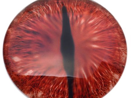 Large 78mm Red Dragon Glass Eyes Online now