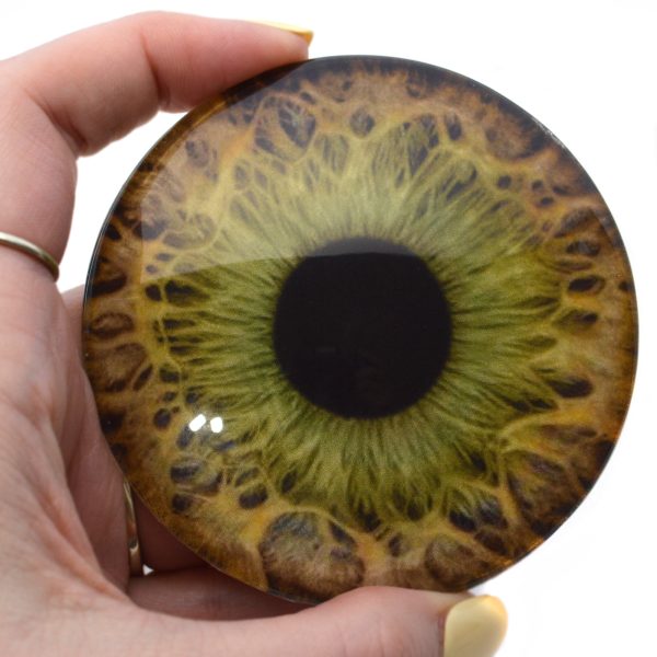 Large 78mm Hazel Human Glass Eyes For Cheap