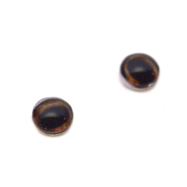 Medium Brown Deer Glass Eyes with White Bands For Discount