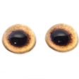 High Domed Tan Pheasant Glass Eyes For Sale