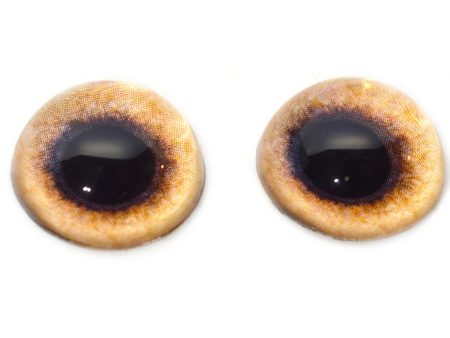 High Domed Tan Pheasant Glass Eyes For Sale