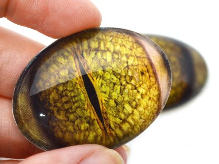 Swamp Creature Oval Glass Eyes Hot on Sale