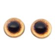 High Domed Tan Pheasant Glass Eyes For Sale