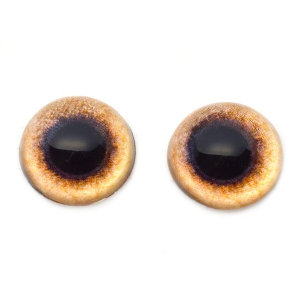 High Domed Tan Pheasant Glass Eyes For Sale