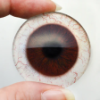 5 Pairs Realistic Brown Human Glass Eye Discounted Bundle Fashion