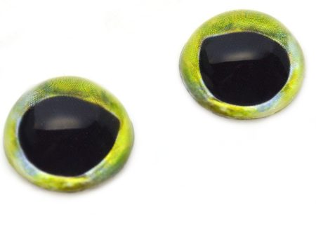 High Domed Mahi Mahi Dolphin Fish Glass Eyes Online Sale