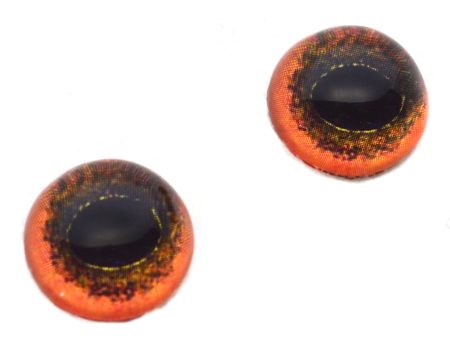 High Domed Red Bird Glass Eyes Online now