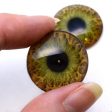 5 Pairs Realistic Human Glass Eye Discounted Bundle II Set of 10 Eyes - Bulk Wholesale - Taxidermy Art Sculptures or Jewelry Making Supply Hot on Sale