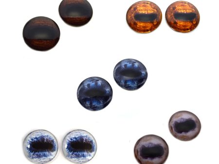 Horse Inspired Glass Eyes Bundle - 5 Pairs For Discount