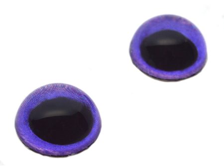 High Domed Purple Owl Glass Eyes For Sale