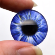 5 Pairs Realistic Blue Human Glass Eye Discounted Bundle Supply