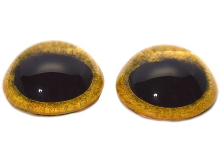 High Domed Yellow Owl Glass Eyes on Sale