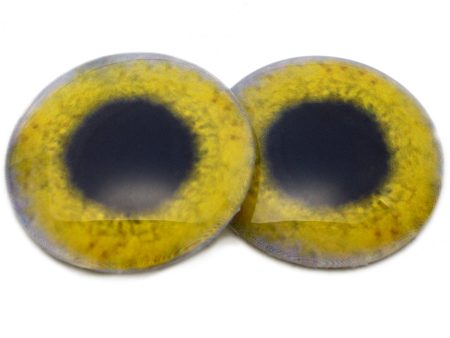 Yellow Osprey Glass Bird Eyes Cheap