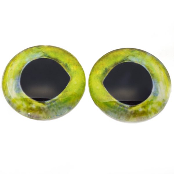 Mahi Mahi Dolphin Fish Glass Eyes Online now