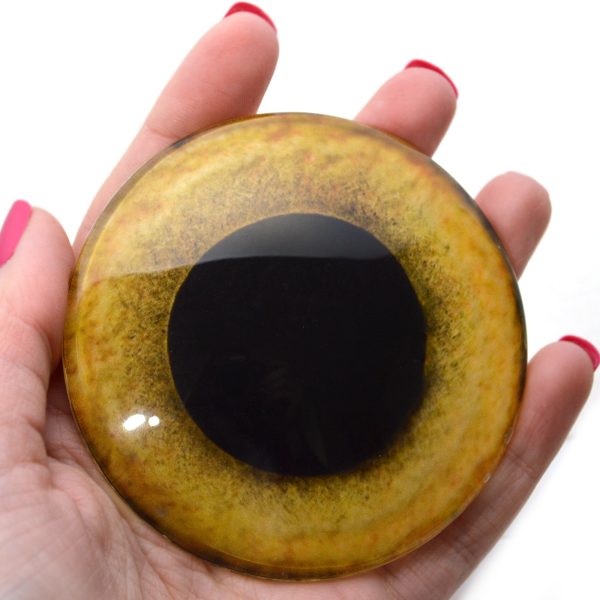 Large 78mm Yellow Owl Glass Eyes For Discount