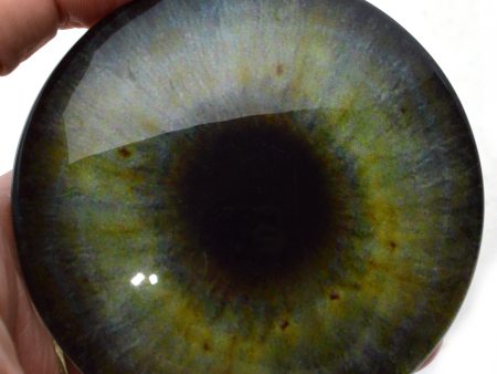 Large 78mm Realistic Green Human Glass Eyes Online