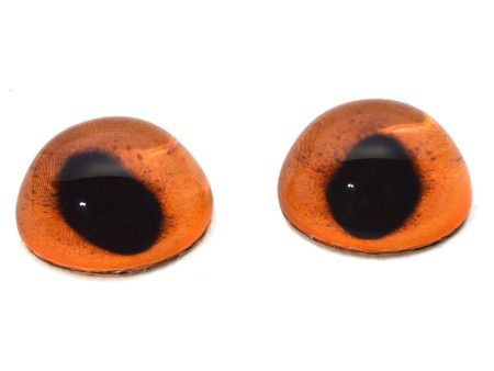 High Domed Orange Fox Glass Eyes Online Hot Sale