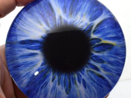 Large 78mm Intense Ice Blue Human Glass Eyes Supply