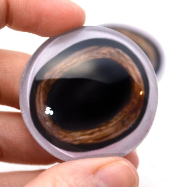 Medium Brown Deer Glass Eyes with White Bands For Discount