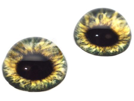 High Domed Olive Green Human Glass Eyes For Discount