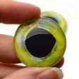 Mahi Mahi Dolphin Fish Glass Eyes Online now