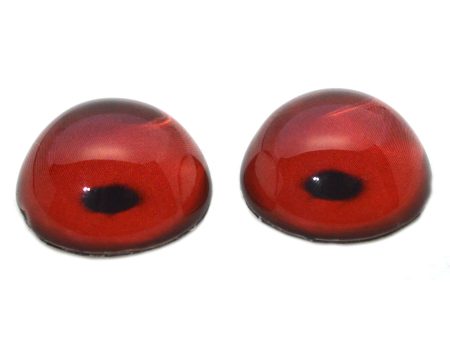 High Domed Red Loon Bird Glass Eyes Supply