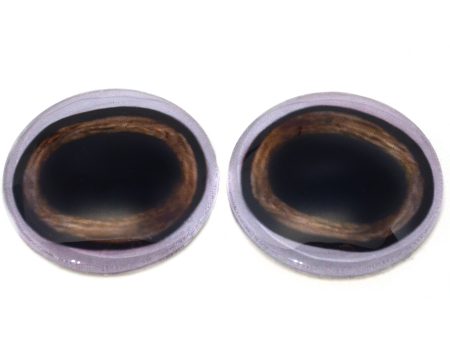 Medium Brown Deer Glass Eyes with White Bands For Discount