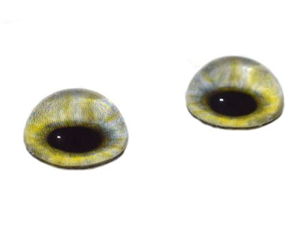 High Domed Light Green Human Glass Eyes Sale