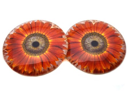 Red Orange Sunflower Glass Eyes Online Hot Sale