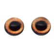 High Domed Light Brown Dog Glass Eyes For Discount