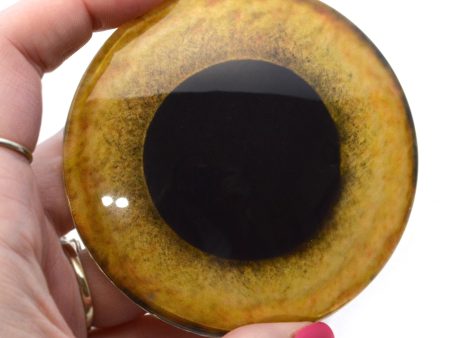 Large 78mm Yellow Owl Glass Eyes For Discount