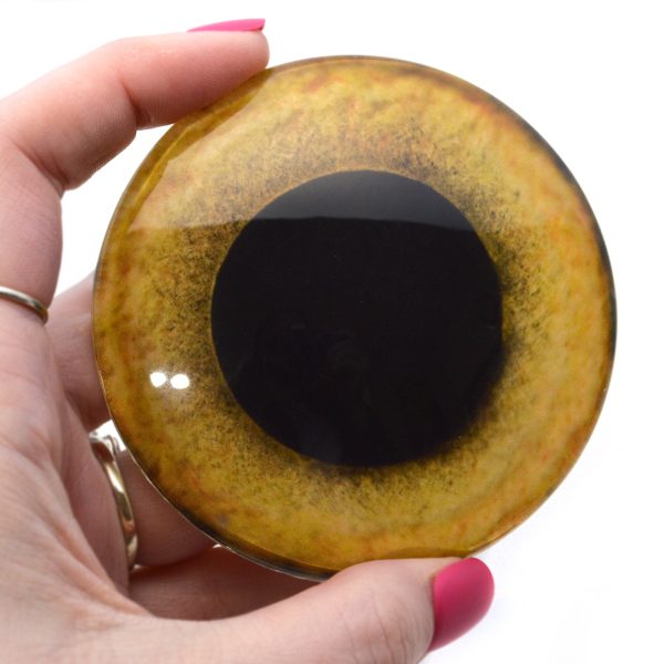 Large 78mm Yellow Owl Glass Eyes For Discount